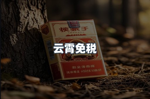 云霄免税
